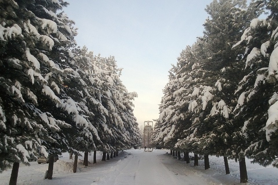 Академгородок томск фото