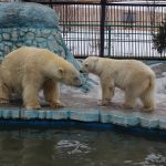 парки в красноярске где можно погулять