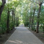 парки в екатеринбурге где можно погулять