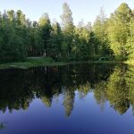 парки в сургуте где можно погулять