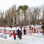 парки города воронежа где можно погулять