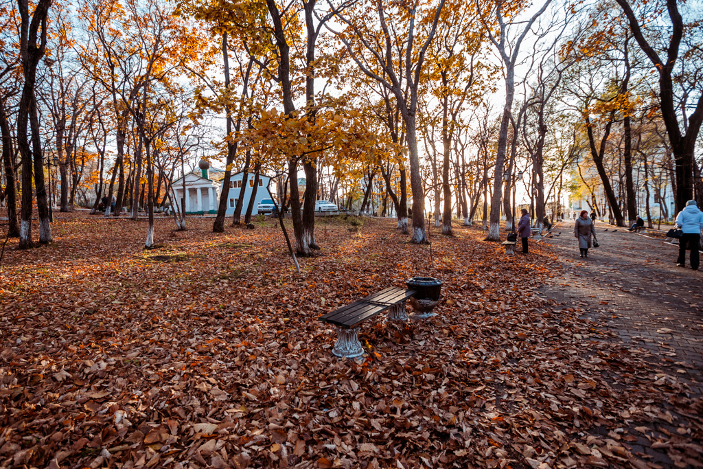 Сафари парк владивосток фото