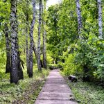 загородный парк самары адрес. 1306232 original. загородный парк самары адрес фото. загородный парк самары адрес-1306232 original. картинка загородный парк самары адрес. картинка 1306232 original.