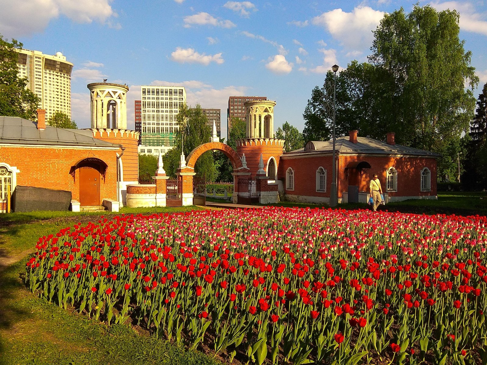 Парк айва в москве фото