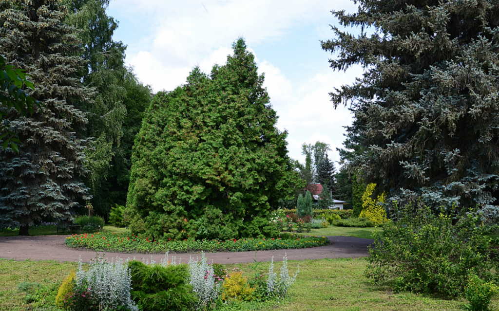 Ботанический сад саранск карта