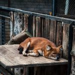 площадь парков в перми