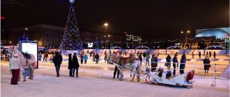 Программа мероприятий на Новый год в Новосибирске